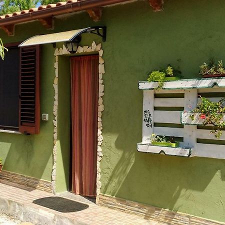 Appartamento Il Salice Casa Minnina Екстериор снимка