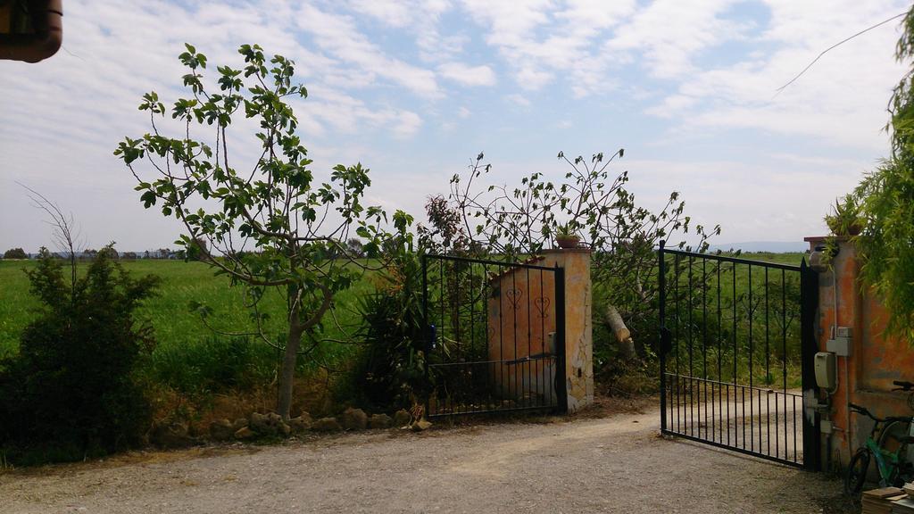 Appartamento Il Salice Casa Minnina Екстериор снимка